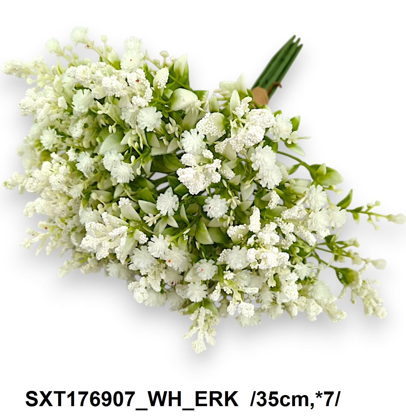 SXT176907_WH_ERK