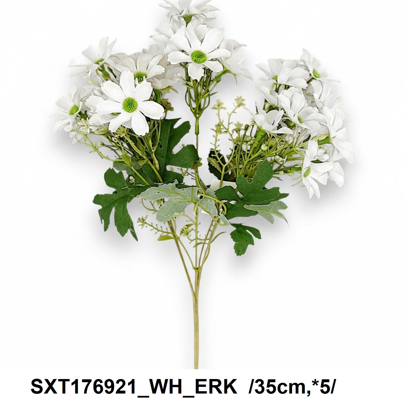 SXT176921_WH_ERK