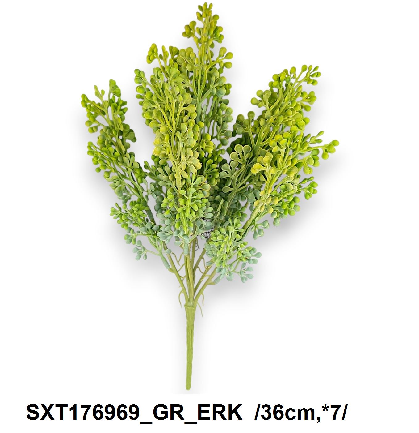 SXT176969_GR_ERK