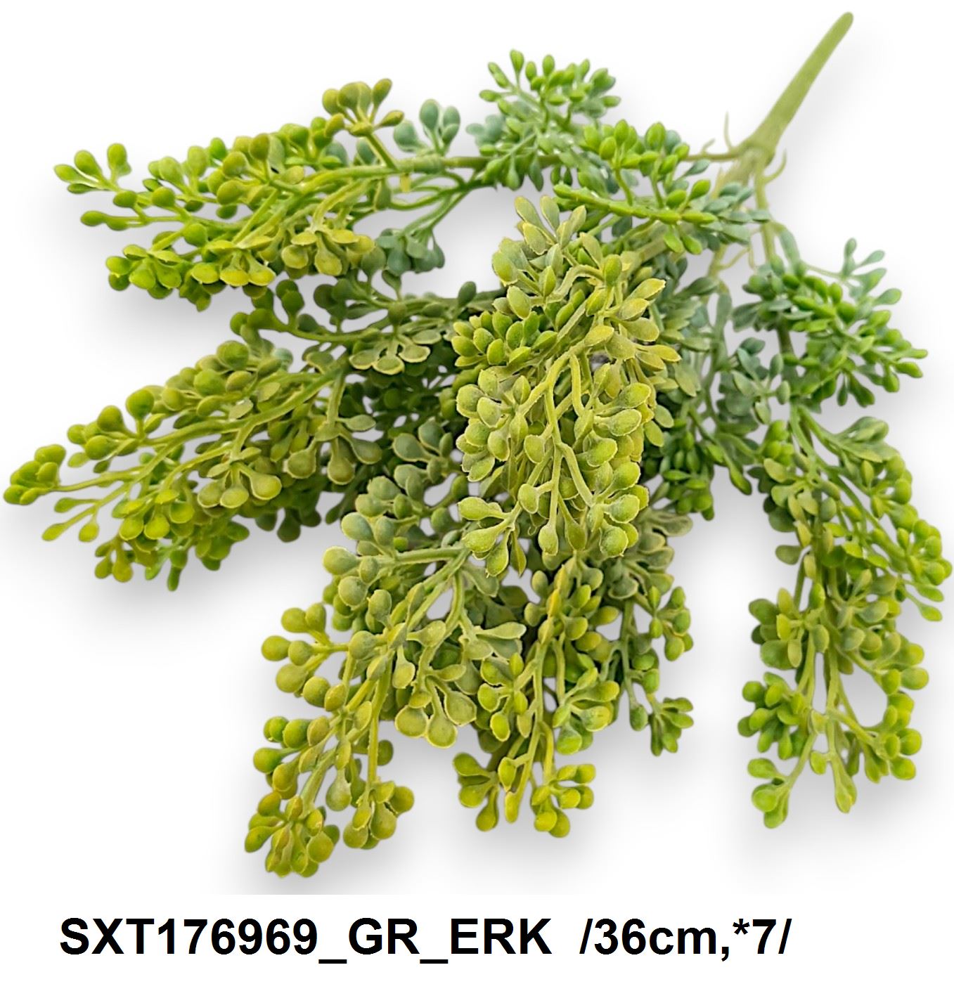 SXT176969_GR_ERK