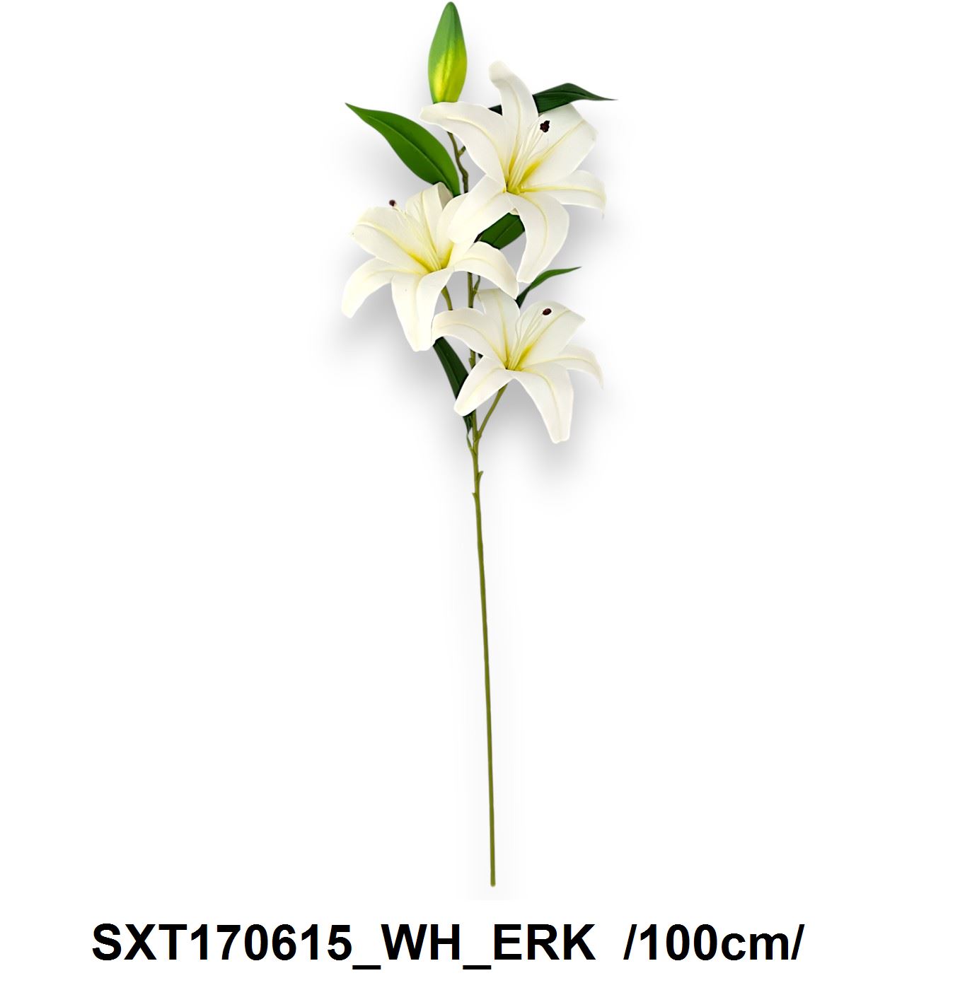 SXT170615_WH_ERK