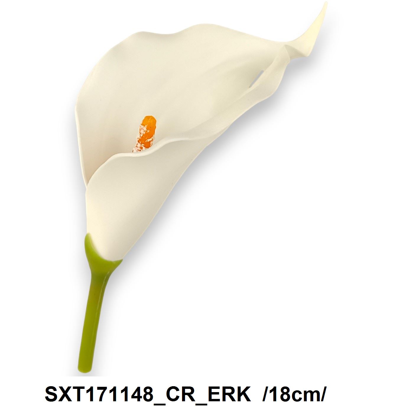 SXT171148_CR_ERK