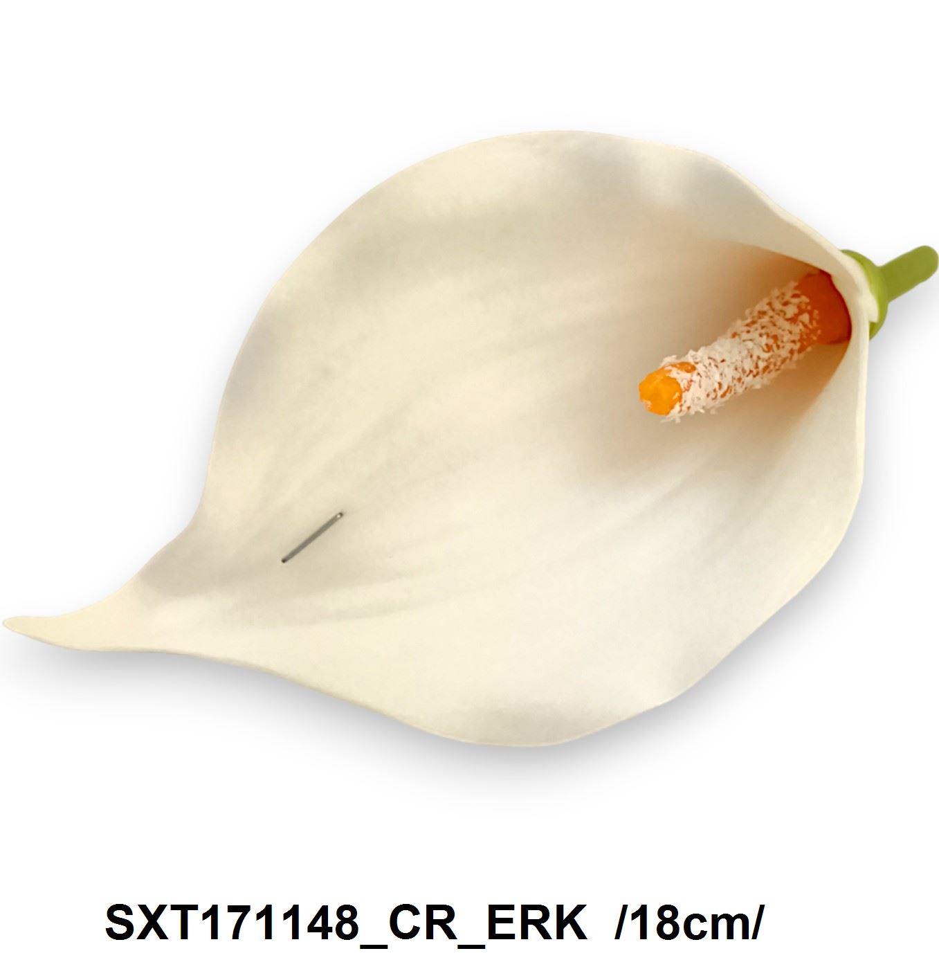 SXT171148_CR_ERK