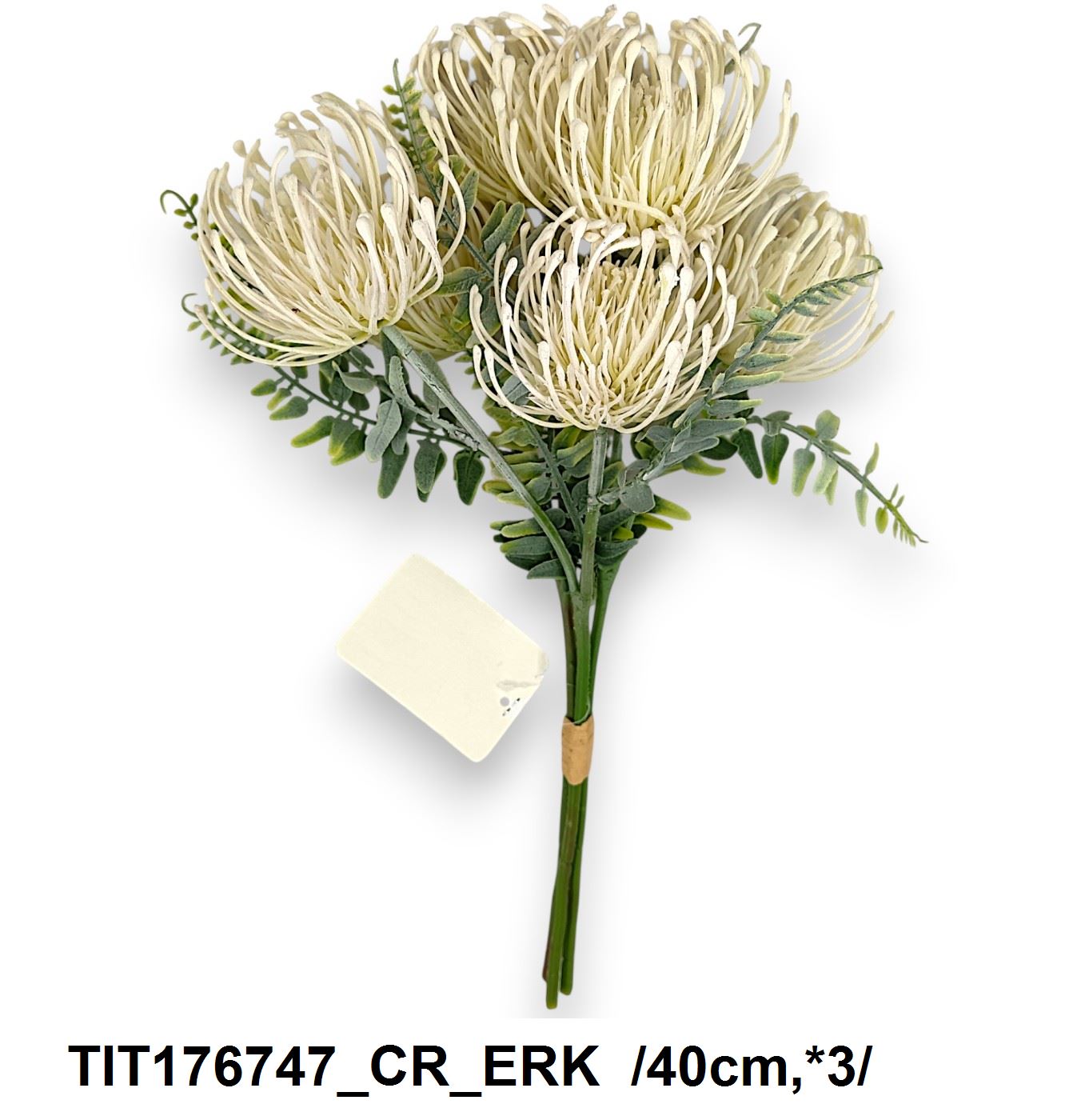 TIT176747_CR_ERK