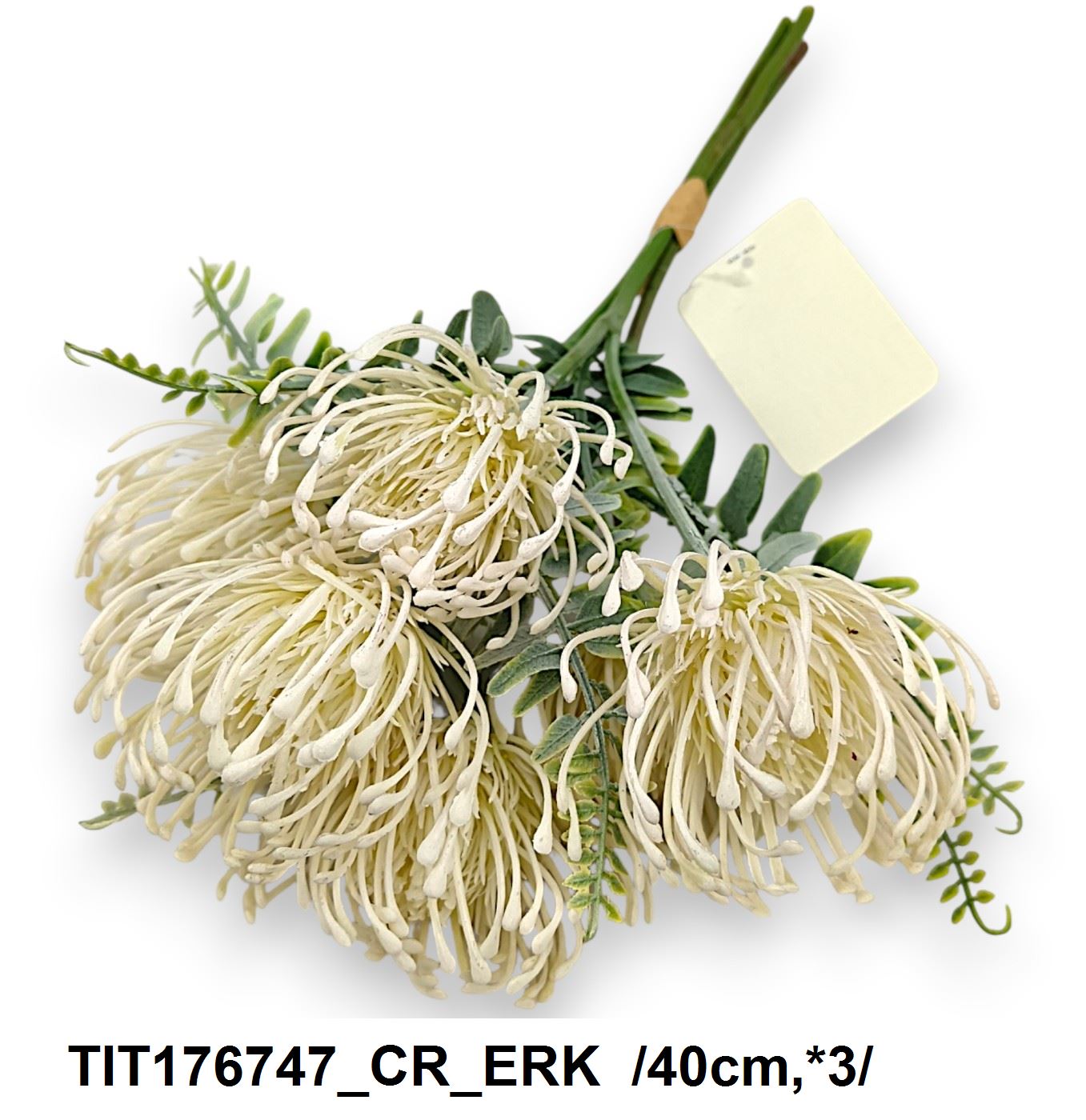 TIT176747_CR_ERK