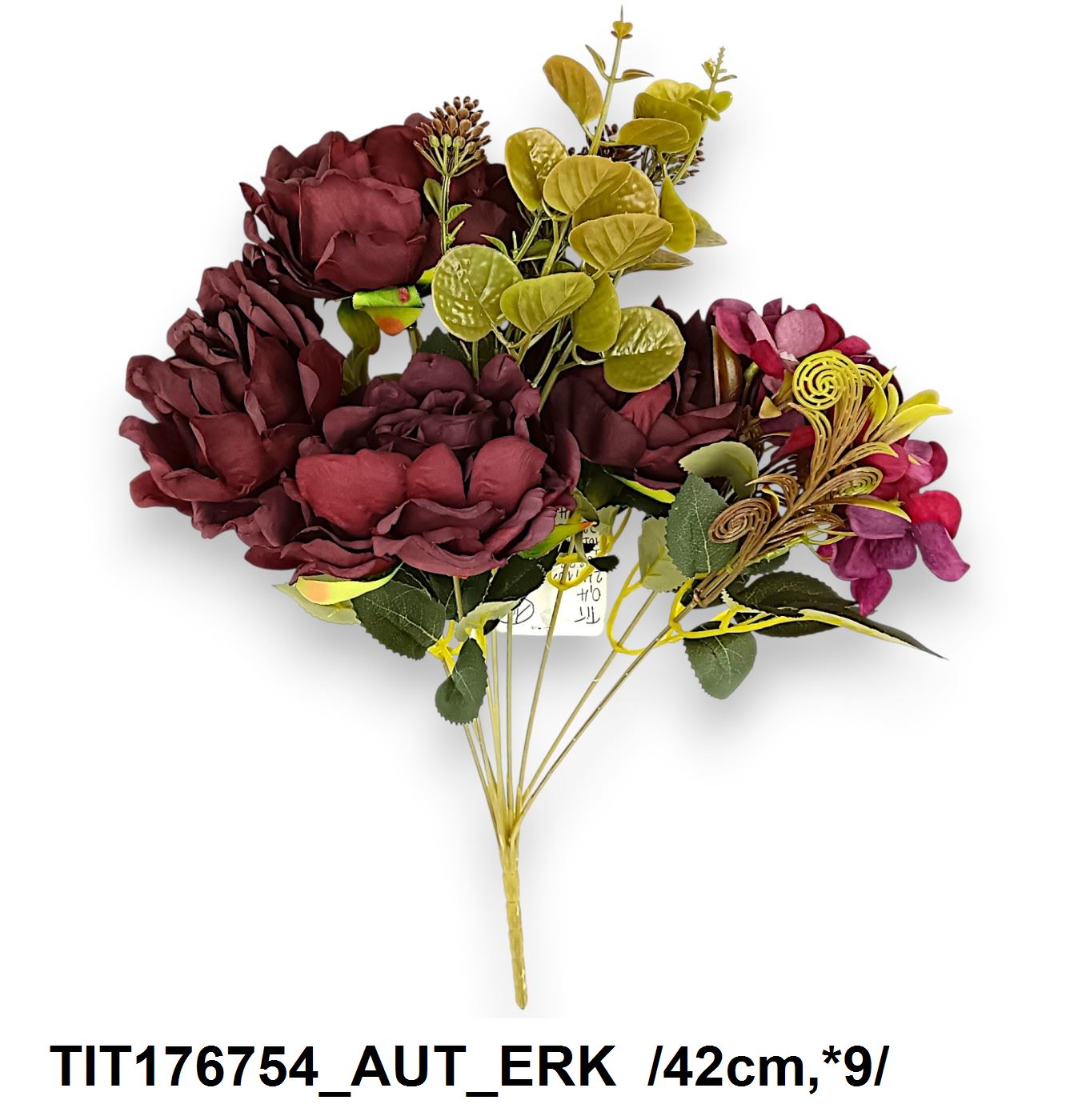 TIT176754_AUT_ERK