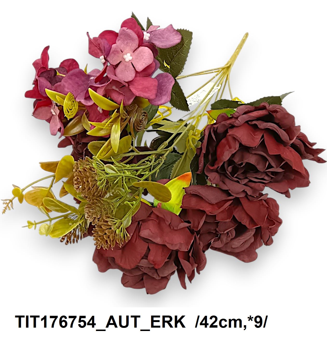 TIT176754_AUT_ERK