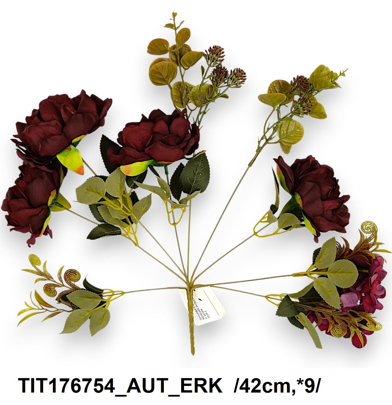 TIT176754_AUT_ERK