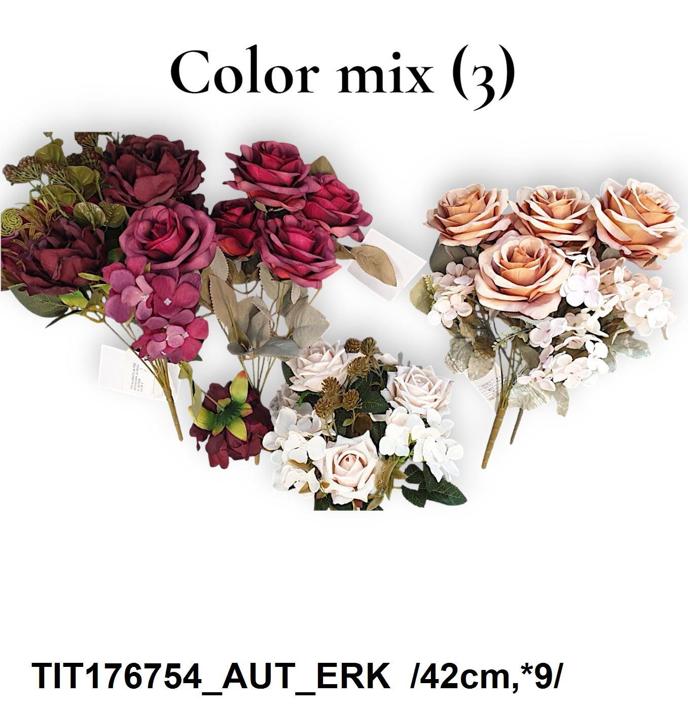 TIT176754_AUT_ERK