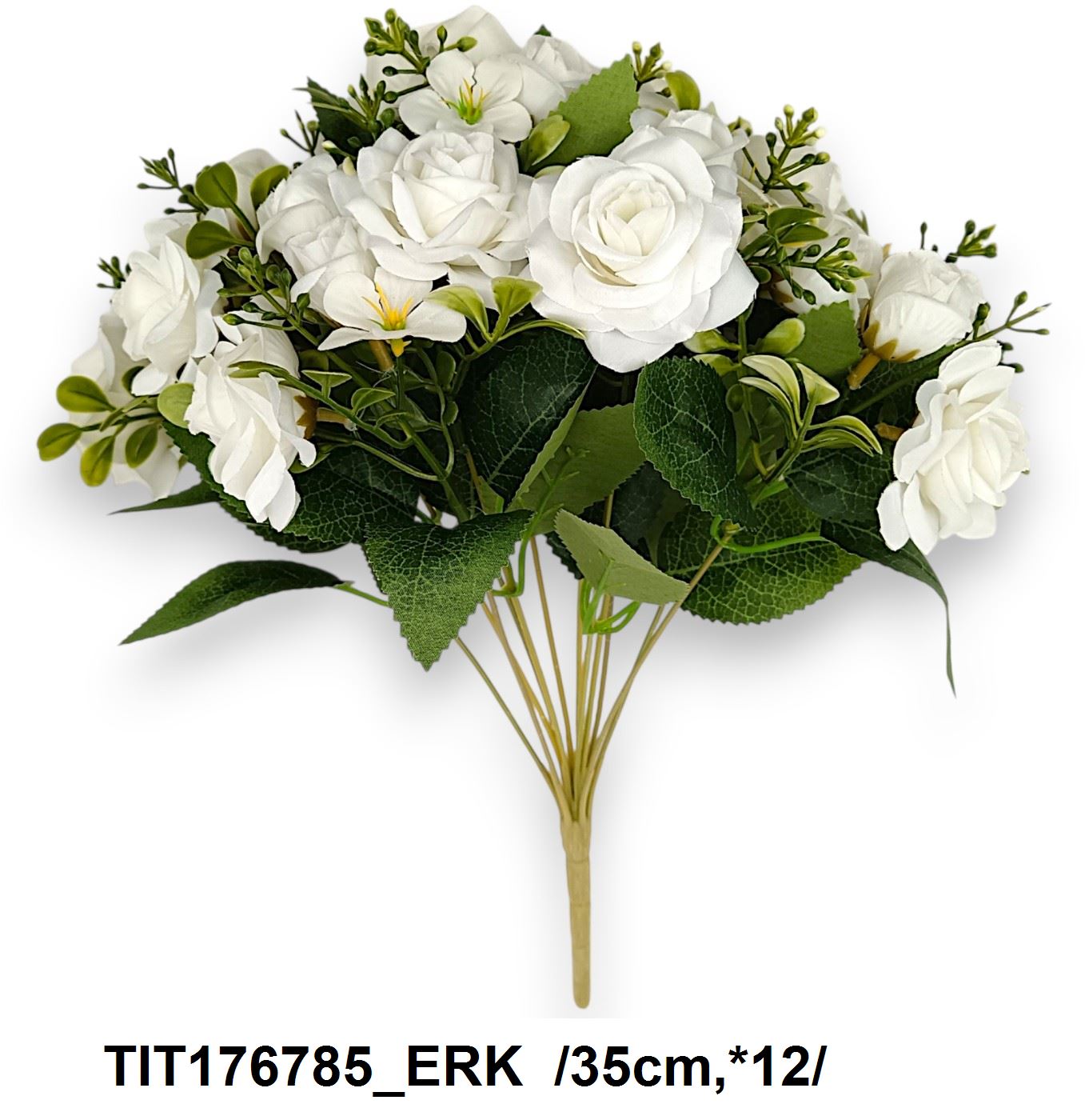 TIT176785_ERK