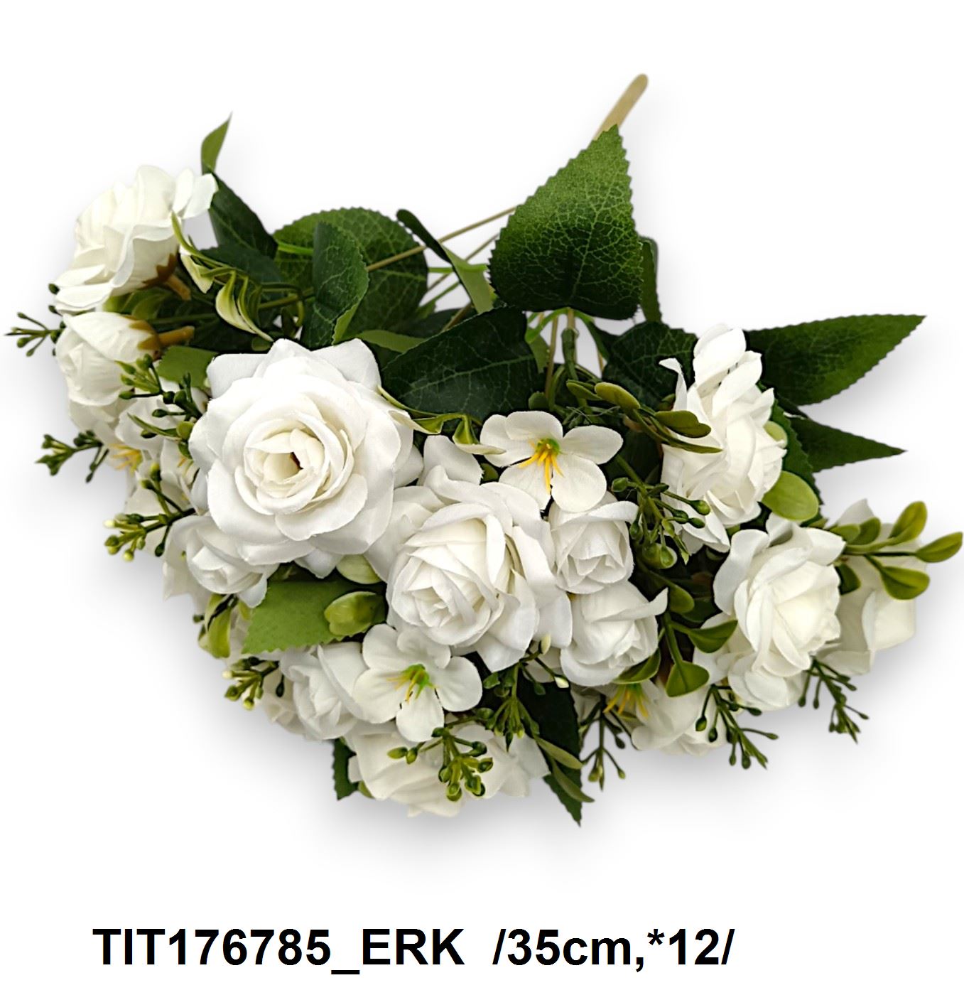 TIT176785_ERK