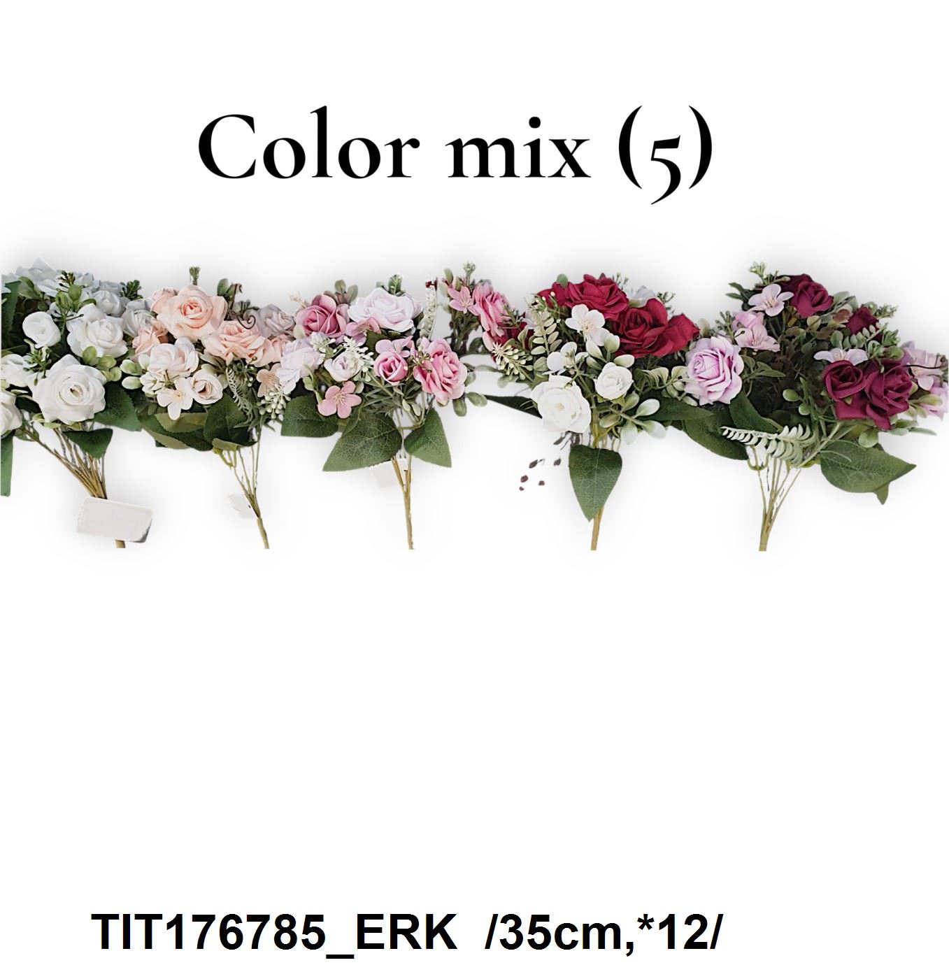 TIT176785_ERK