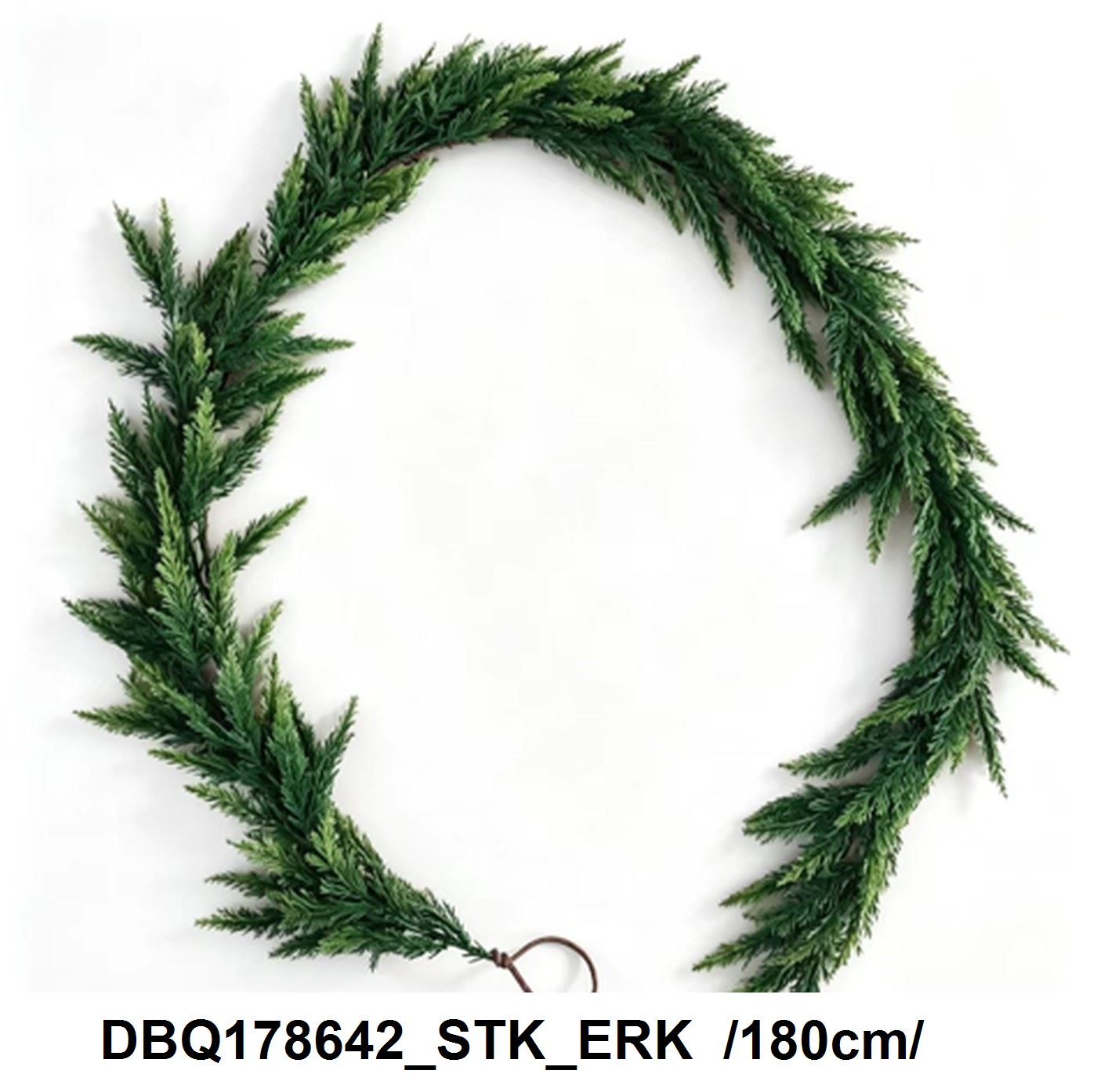 DBQ178642_STK_ERK