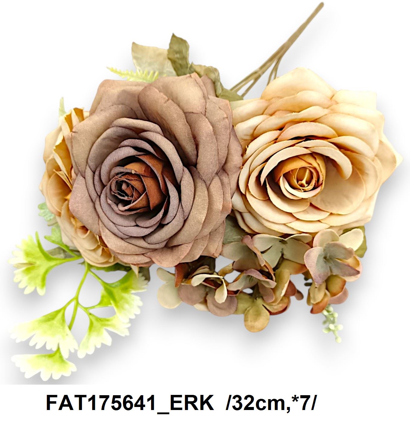 FAT175641_ERK