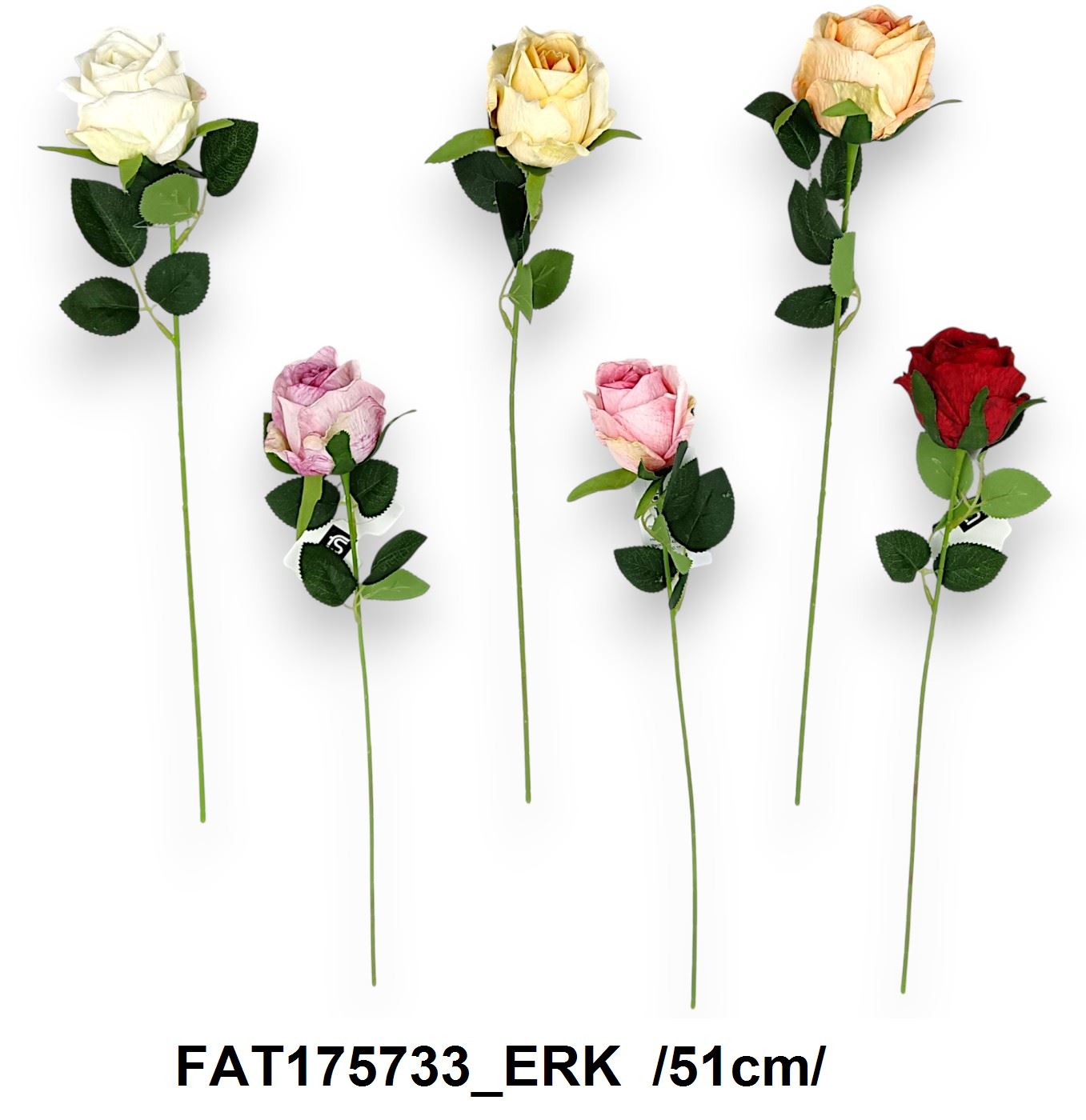 FAT175733_ERK