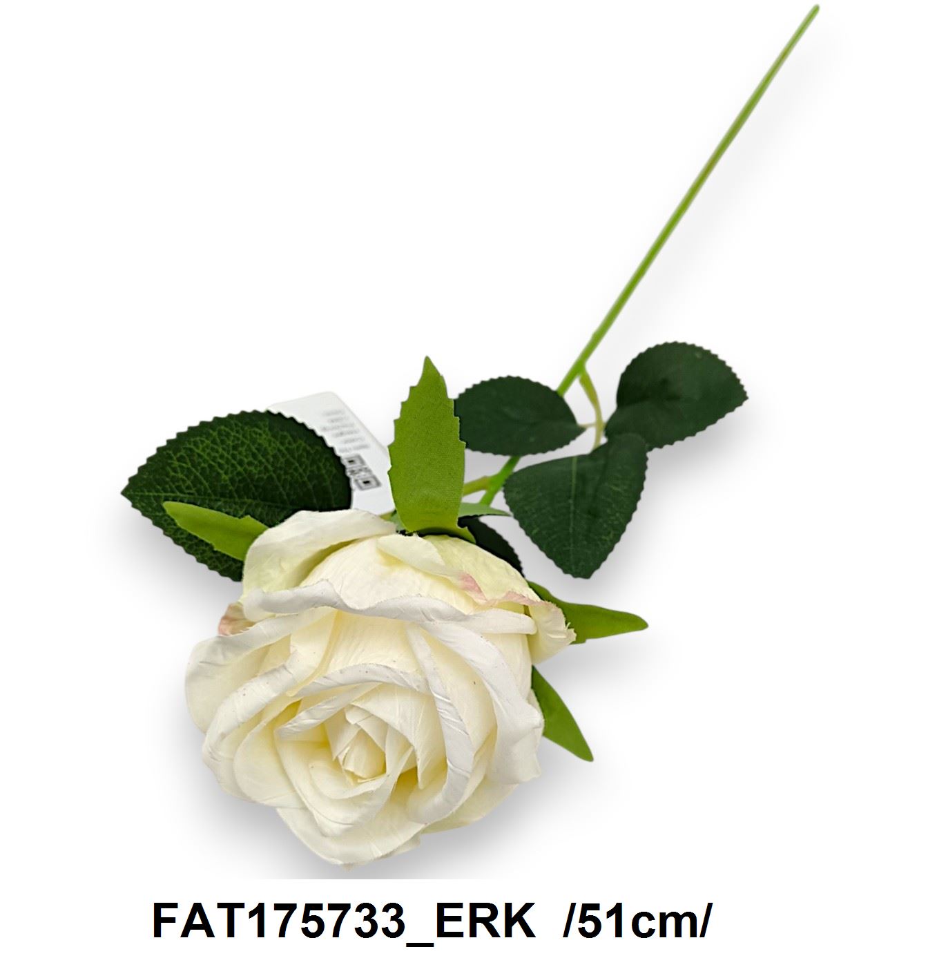 FAT175733_ERK