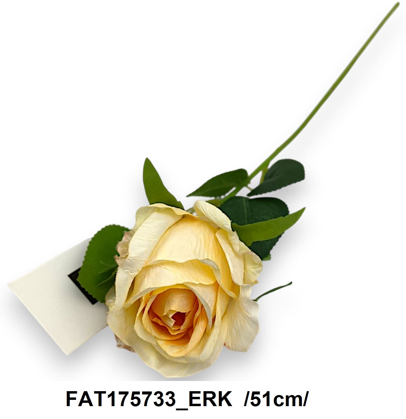 FAT175733_ERK