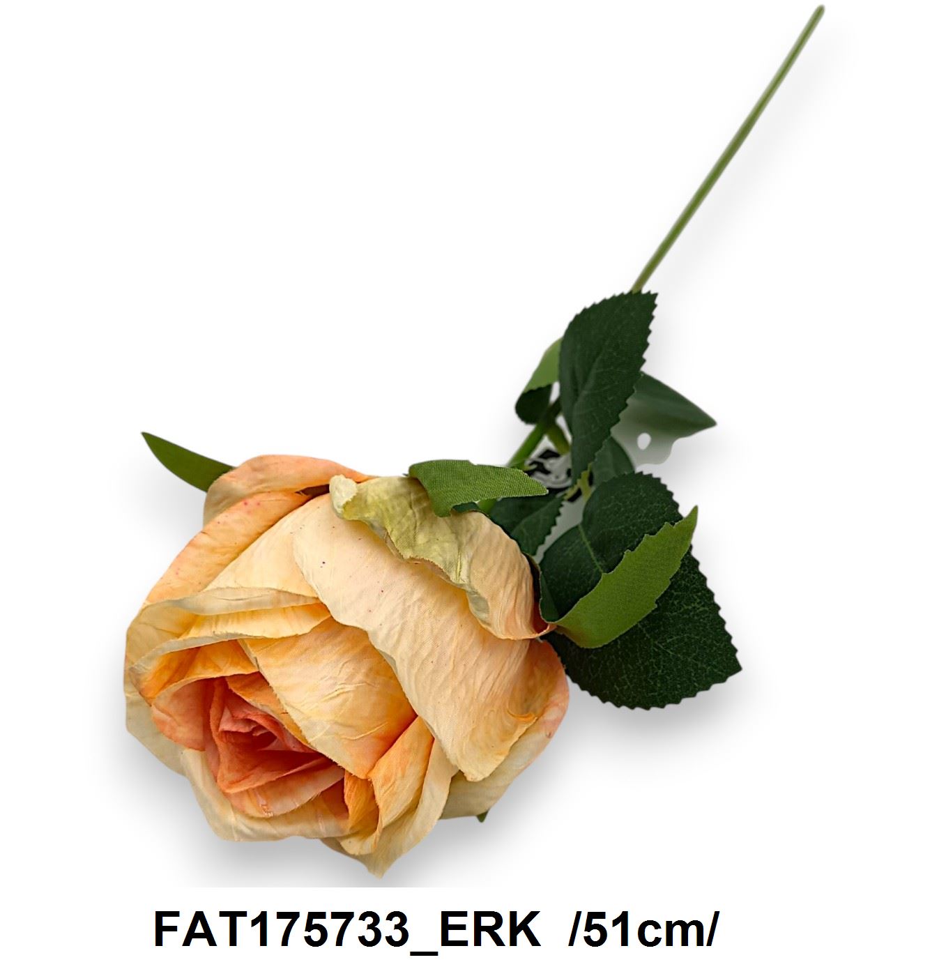 FAT175733_ERK
