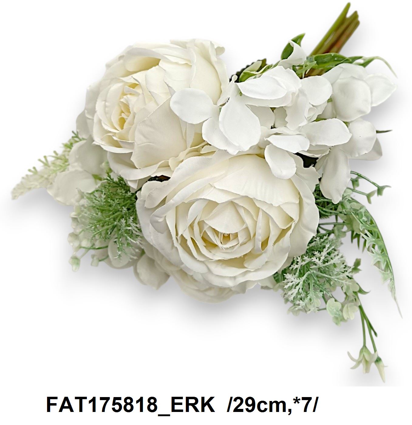 FAT175818_ERK