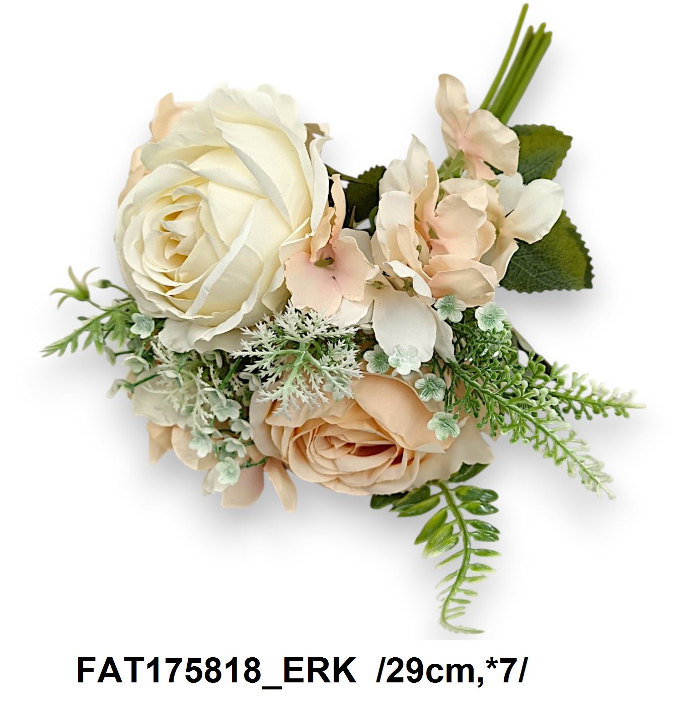 FAT175818_ERK