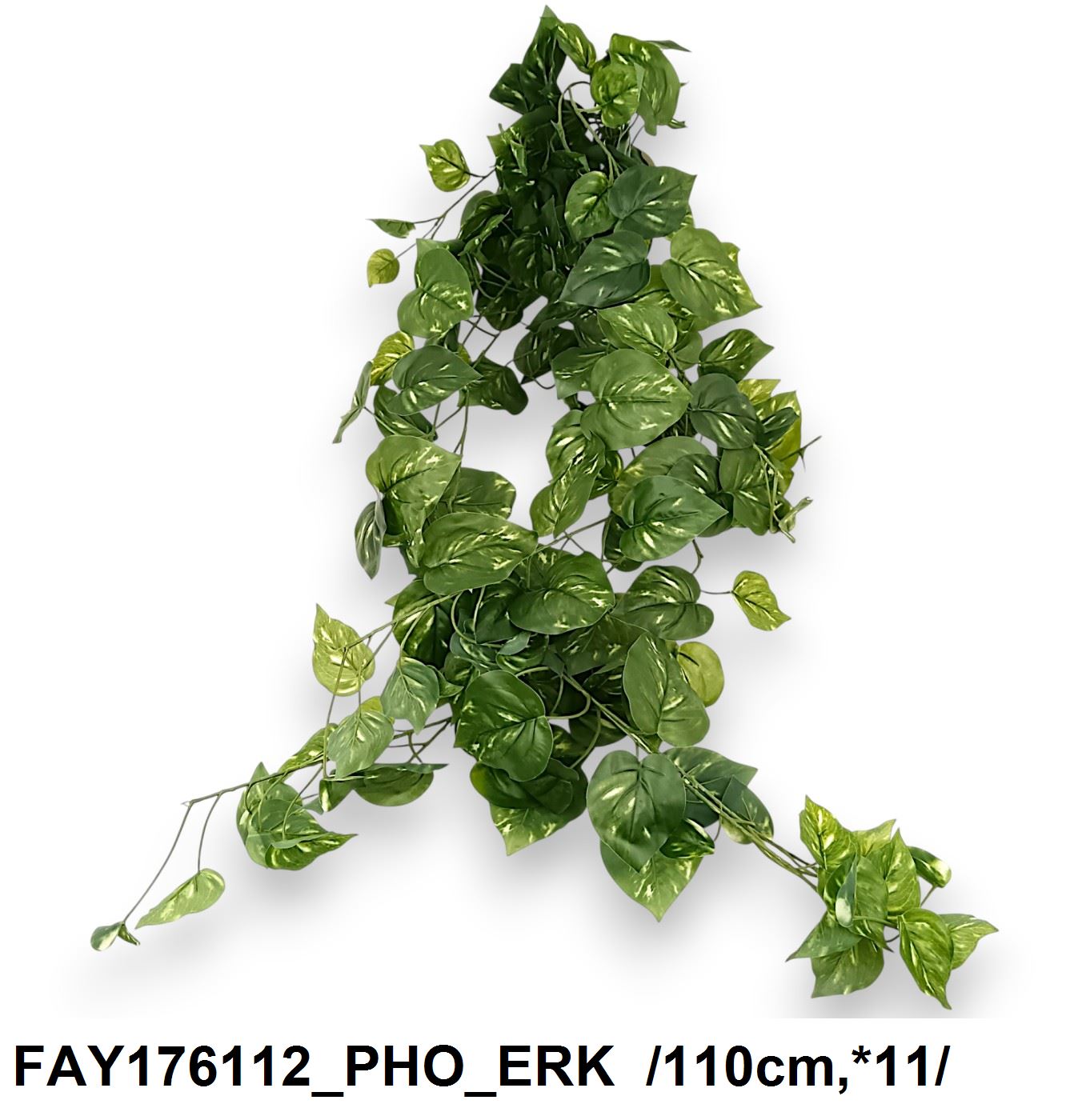 FAY176112_PHO_ERK