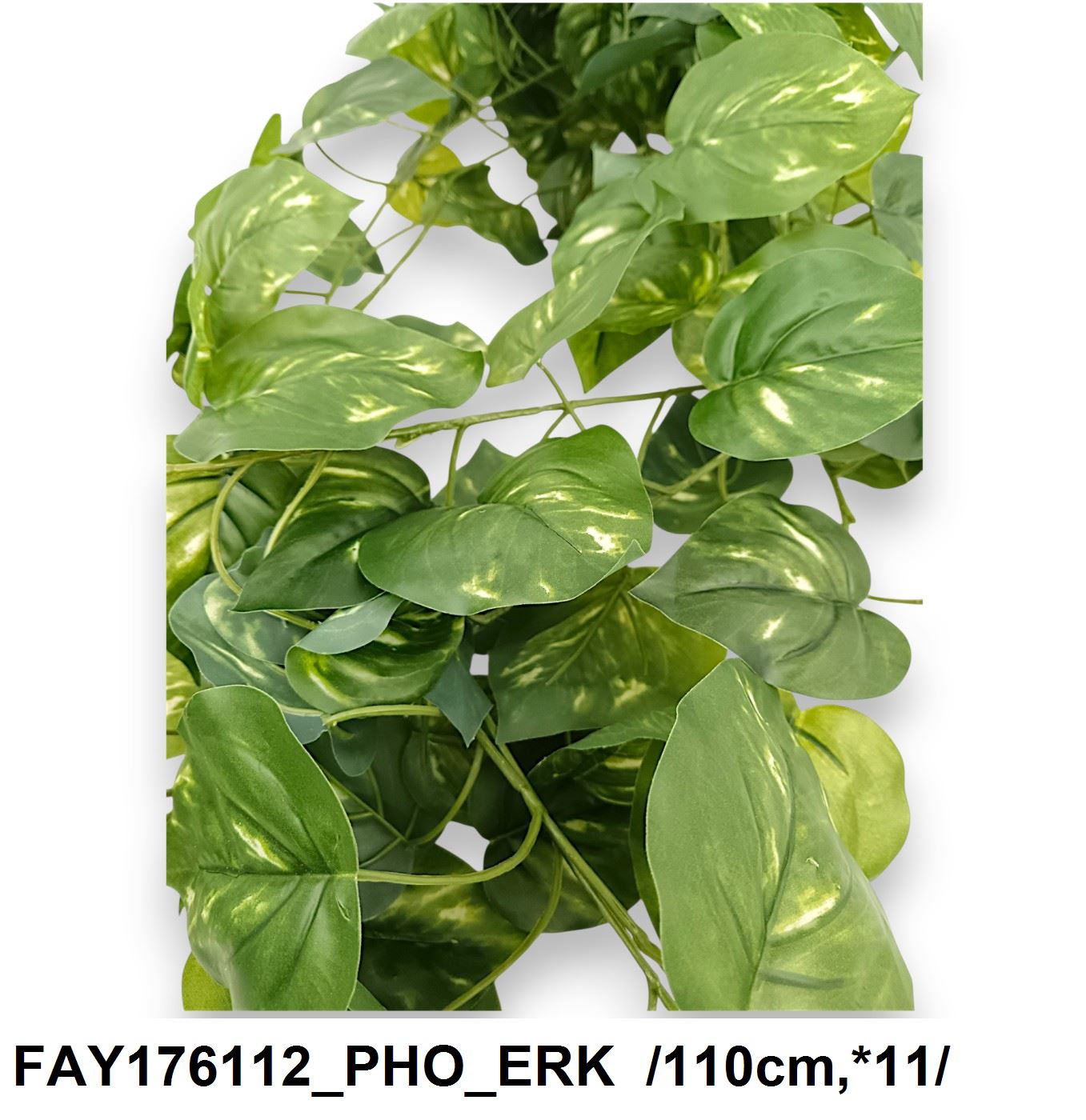 FAY176112_PHO_ERK