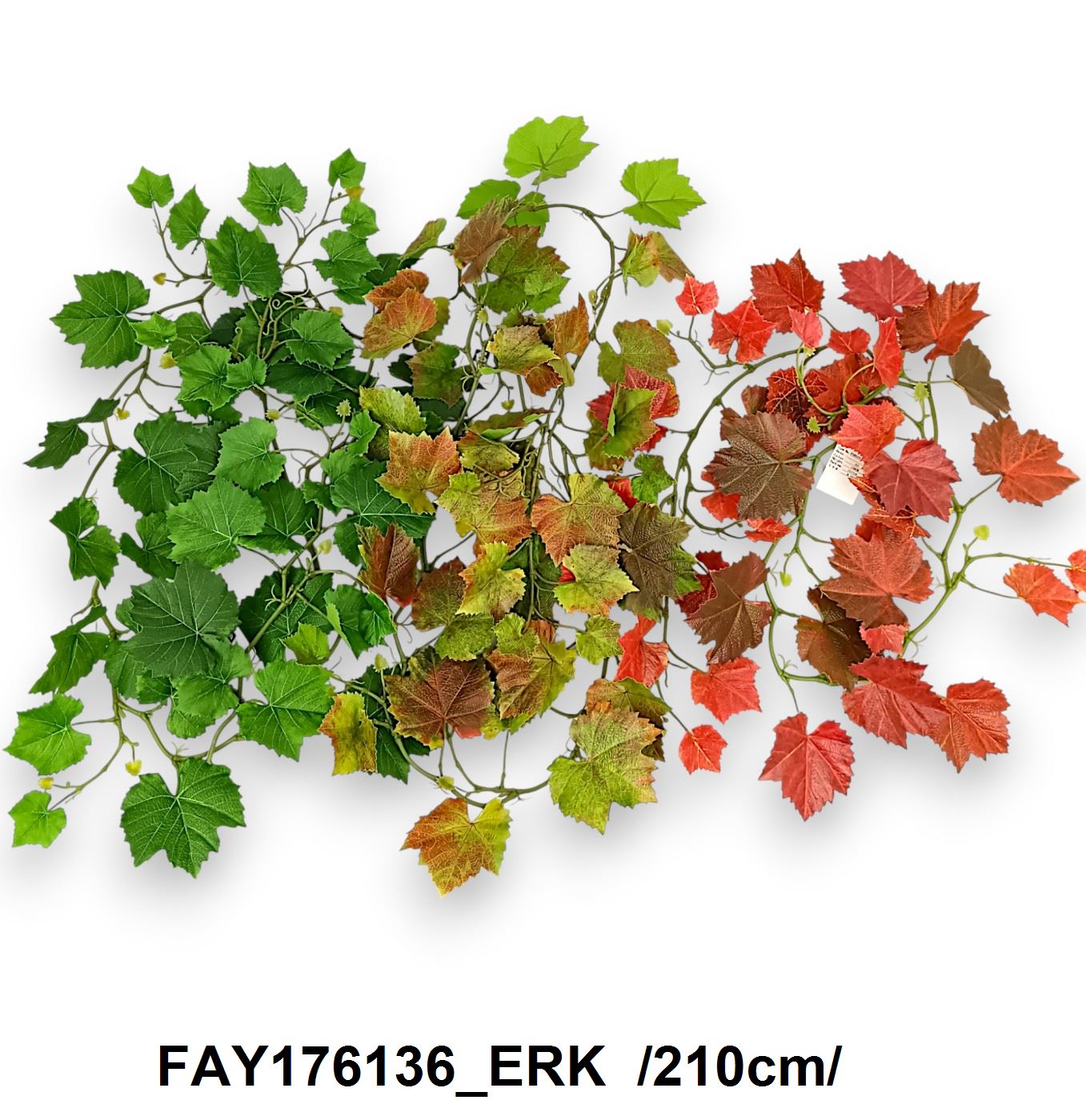 FAY176136_ERK