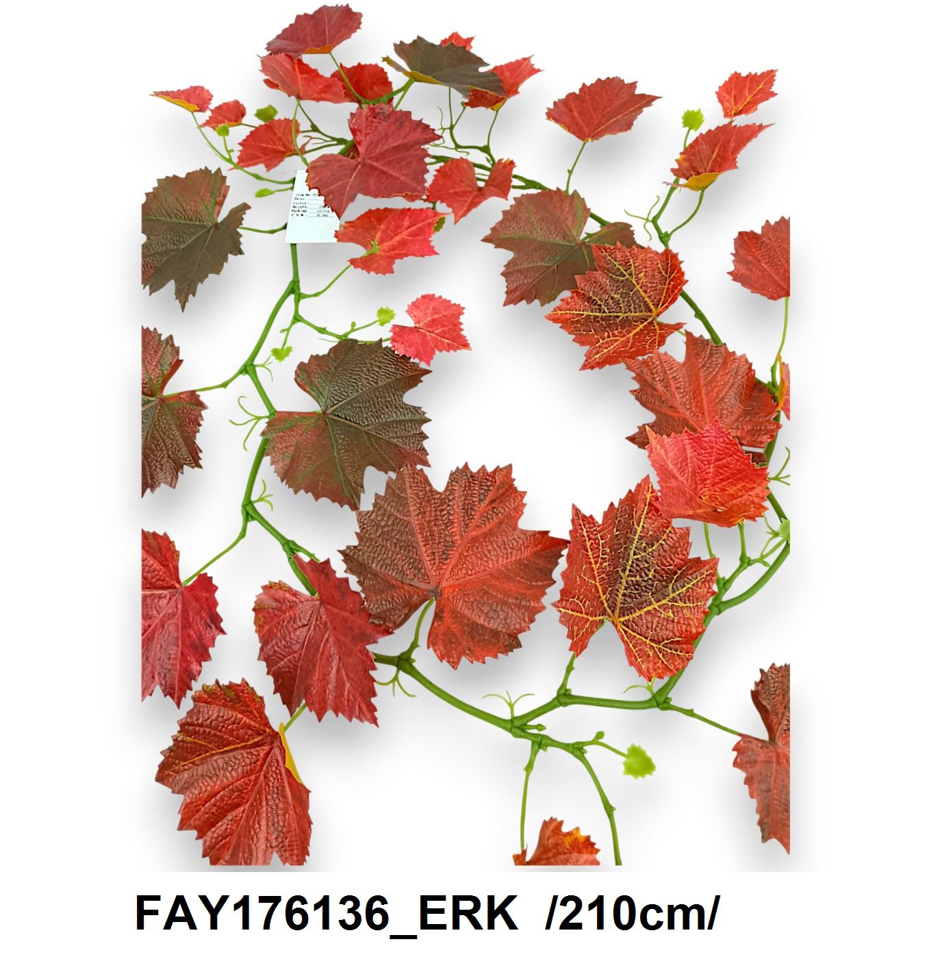 FAY176136_ERK