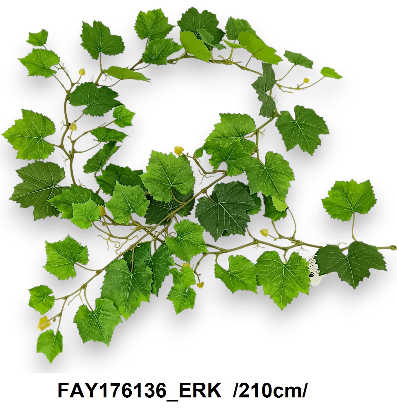 FAY176136_ERK