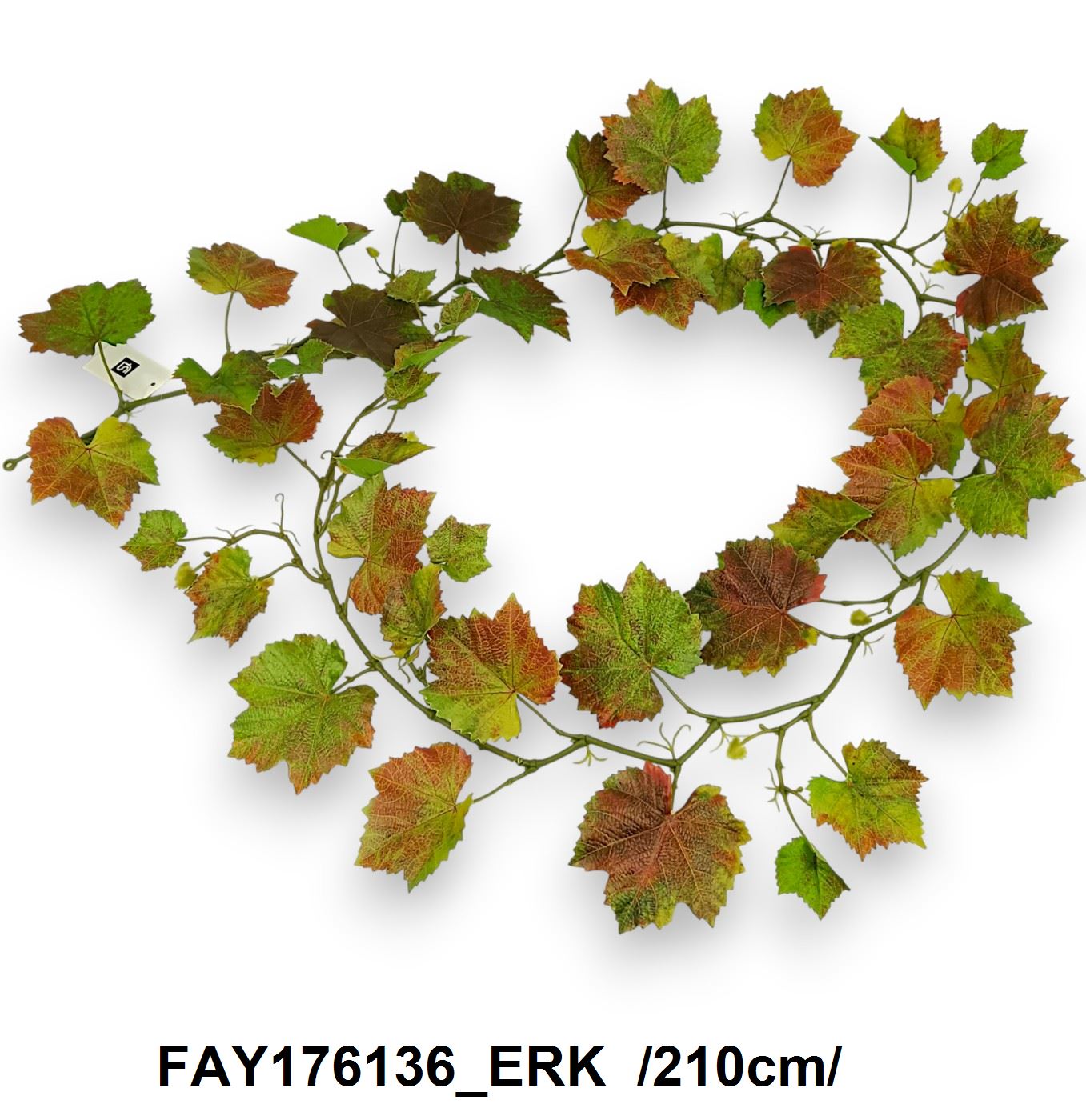 FAY176136_ERK