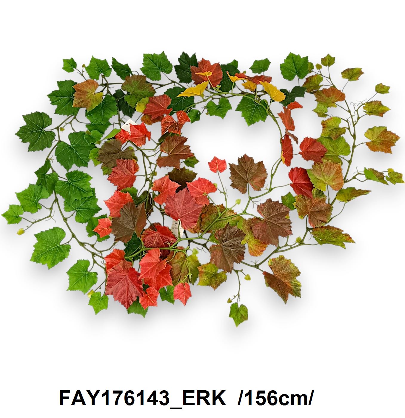 FAY176143_ERK