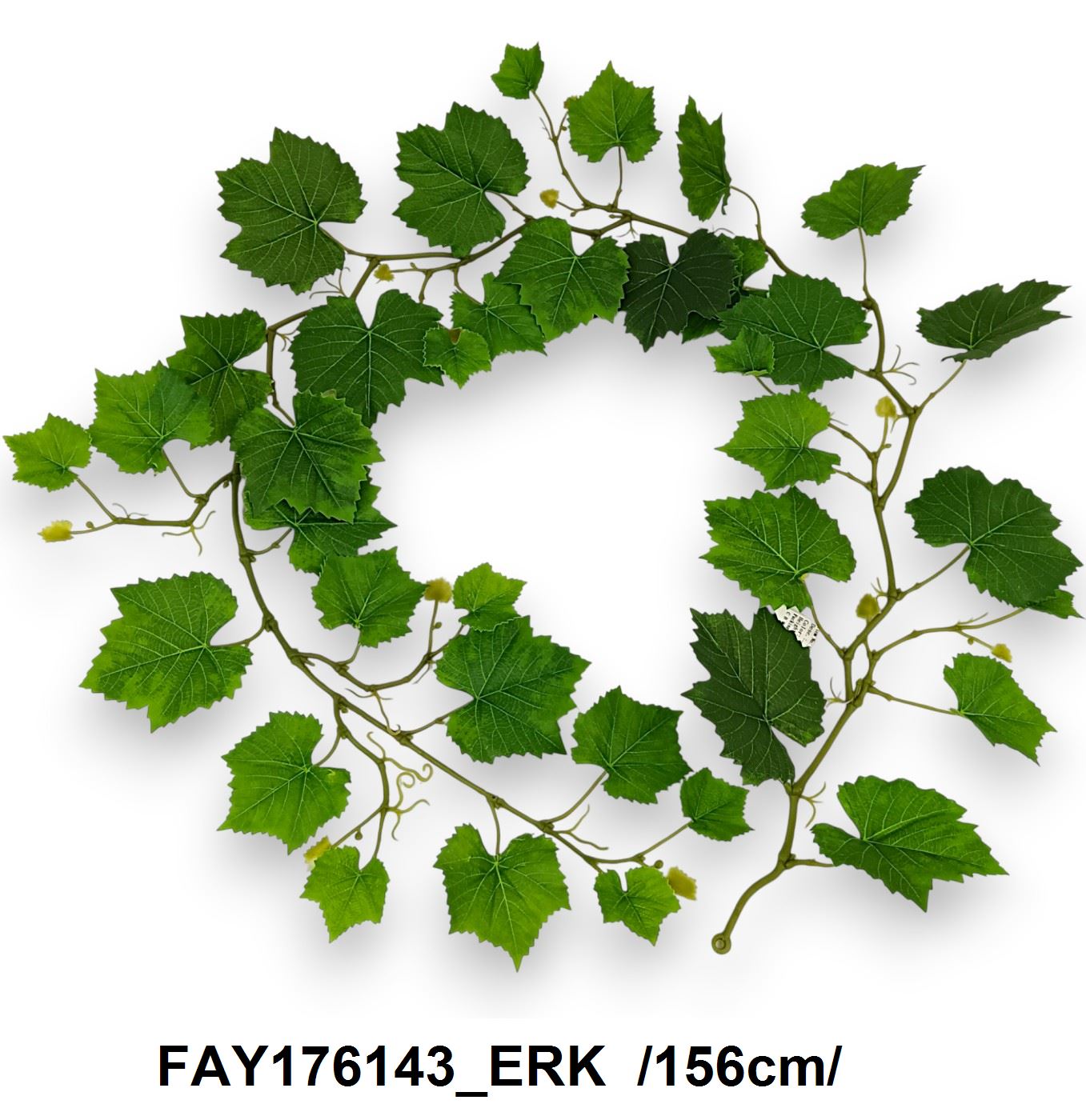 FAY176143_ERK