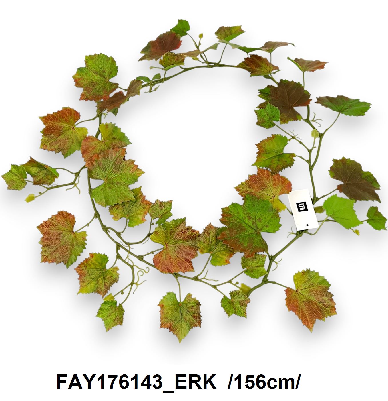 FAY176143_ERK