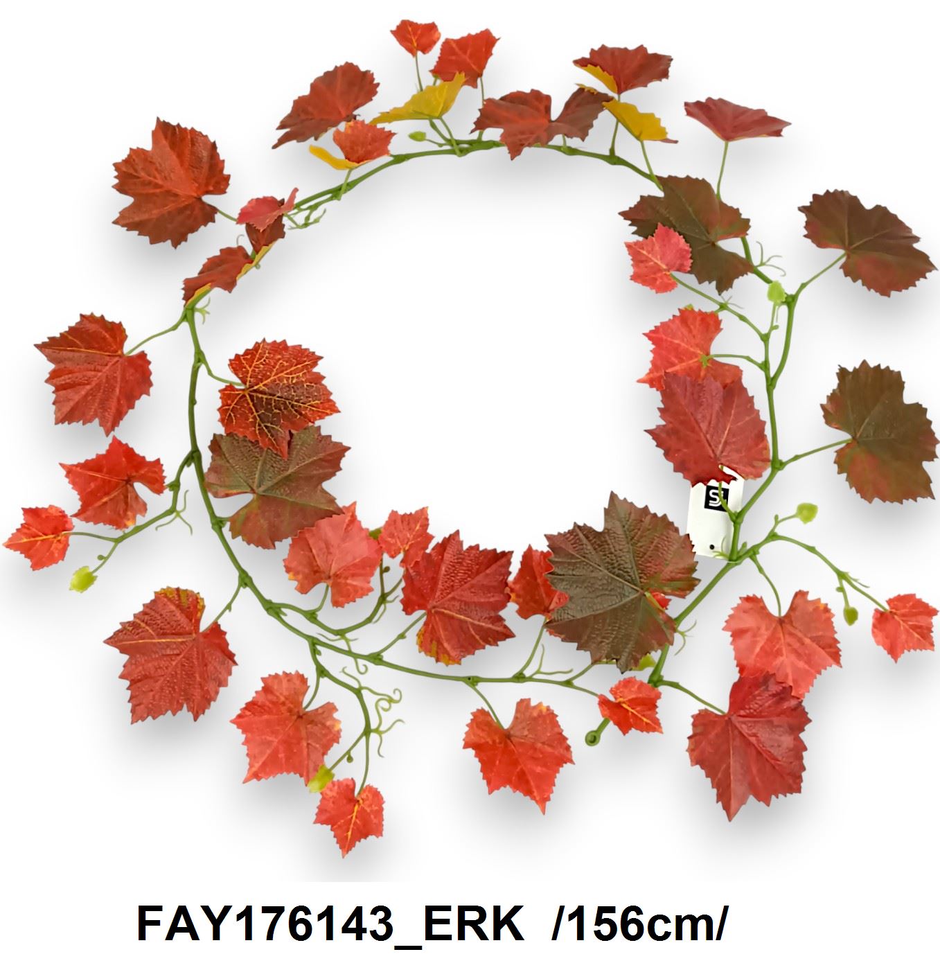 FAY176143_ERK