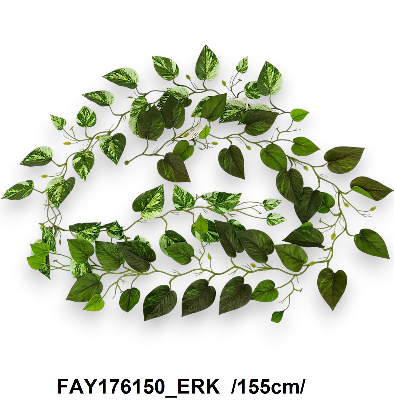 FAY176150_ERK