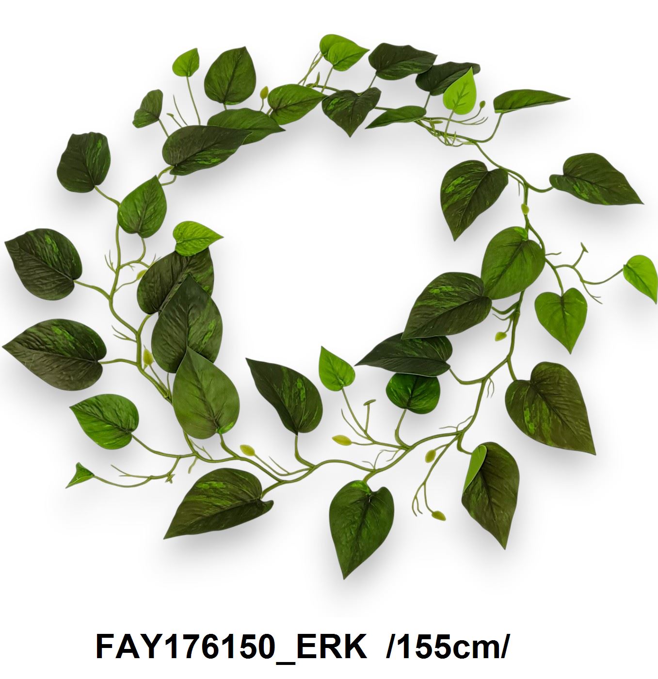 FAY176150_ERK