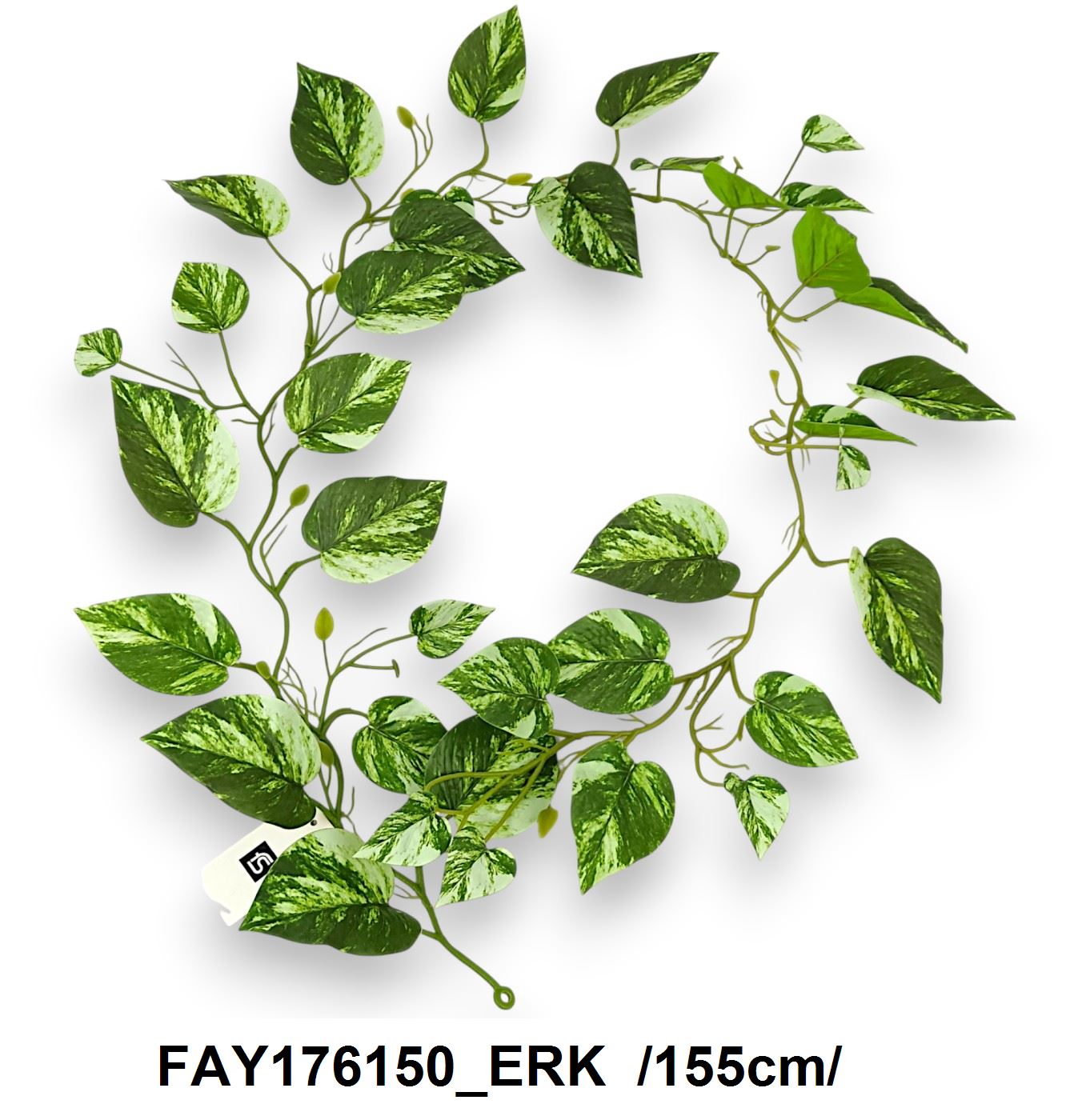 FAY176150_ERK